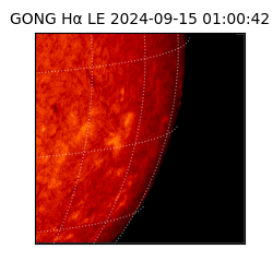 gong - 2024-09-15T01:00:42