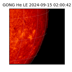 gong - 2024-09-15T02:00:42