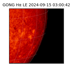 gong - 2024-09-15T03:00:42