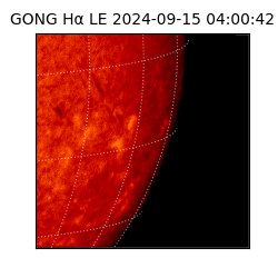 gong - 2024-09-15T04:00:42