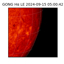 gong - 2024-09-15T05:00:42