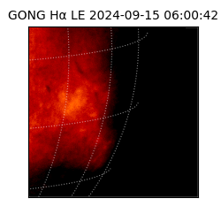 gong - 2024-09-15T06:00:42