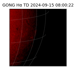 gong - 2024-09-15T08:00:22