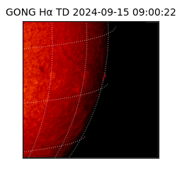 gong - 2024-09-15T09:00:22