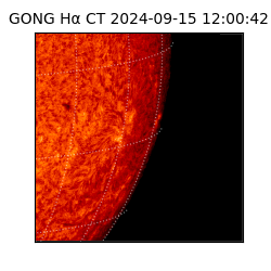 gong - 2024-09-15T12:00:42