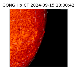 gong - 2024-09-15T13:00:42