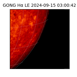 gong - 2024-09-15T03:00:42