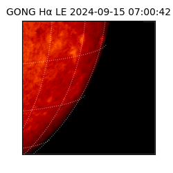 gong - 2024-09-15T07:00:42