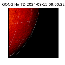 gong - 2024-09-15T09:00:22