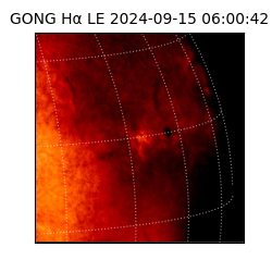 gong - 2024-09-15T06:00:42