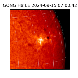 gong - 2024-09-15T07:00:42