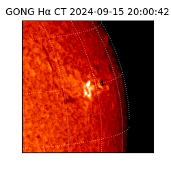 gong - 2024-09-15T20:00:42