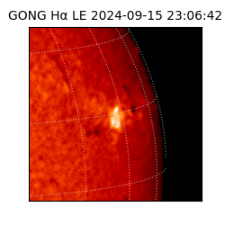 gong - 2024-09-15T23:06:42