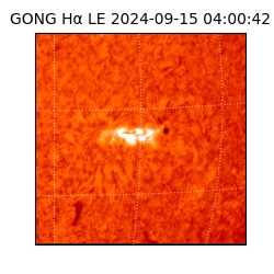 gong - 2024-09-15T04:00:42