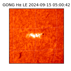 gong - 2024-09-15T05:00:42