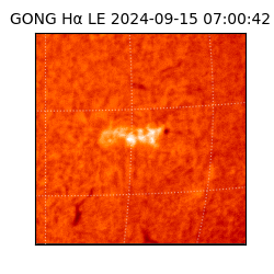 gong - 2024-09-15T07:00:42