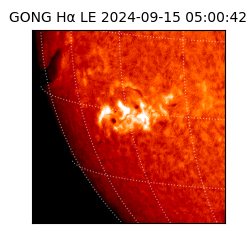 gong - 2024-09-15T05:00:42