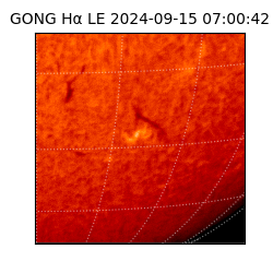 gong - 2024-09-15T07:00:42