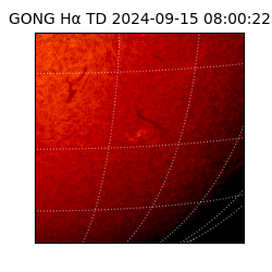 gong - 2024-09-15T08:00:22