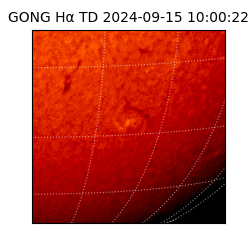 gong - 2024-09-15T10:00:22