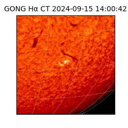 gong - 2024-09-15T14:00:42