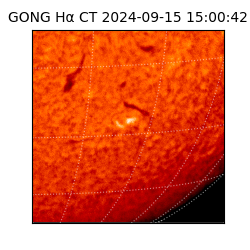 gong - 2024-09-15T15:00:42