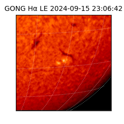 gong - 2024-09-15T23:06:42