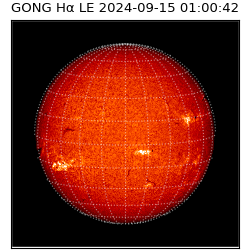 gong - 2024-09-15T01:00:42