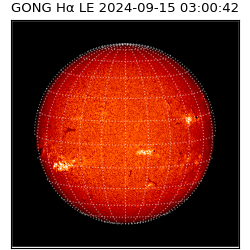 gong - 2024-09-15T03:00:42