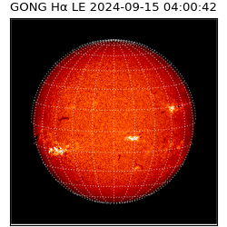 gong - 2024-09-15T04:00:42