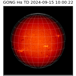 gong - 2024-09-15T10:00:22