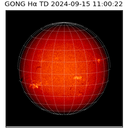 gong - 2024-09-15T11:00:22