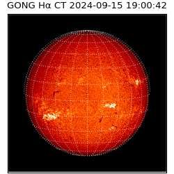 gong - 2024-09-15T19:00:42