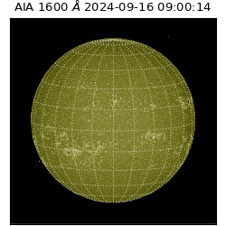 saia - 2024-09-16T09:00:14.130000