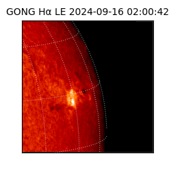 gong - 2024-09-16T02:00:42