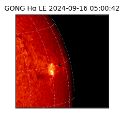 gong - 2024-09-16T05:00:42