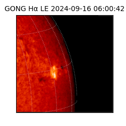 gong - 2024-09-16T06:00:42