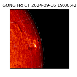 gong - 2024-09-16T19:00:42