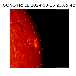 gong - 2024-09-16T23:05:42