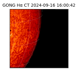 gong - 2024-09-16T16:00:42