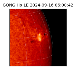 gong - 2024-09-16T06:00:42