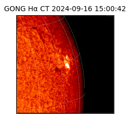 gong - 2024-09-16T15:00:42