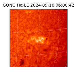 gong - 2024-09-16T06:00:42