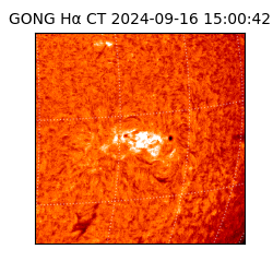 gong - 2024-09-16T15:00:42