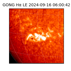 gong - 2024-09-16T06:00:42