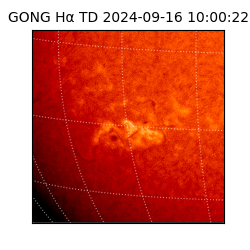 gong - 2024-09-16T10:00:22