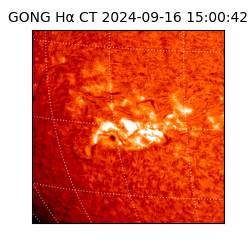 gong - 2024-09-16T15:00:42