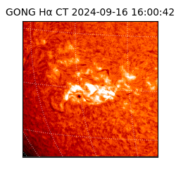 gong - 2024-09-16T16:00:42