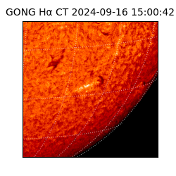 gong - 2024-09-16T15:00:42