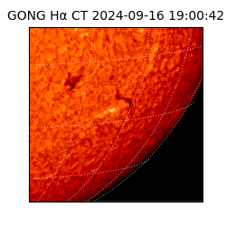 gong - 2024-09-16T19:00:42